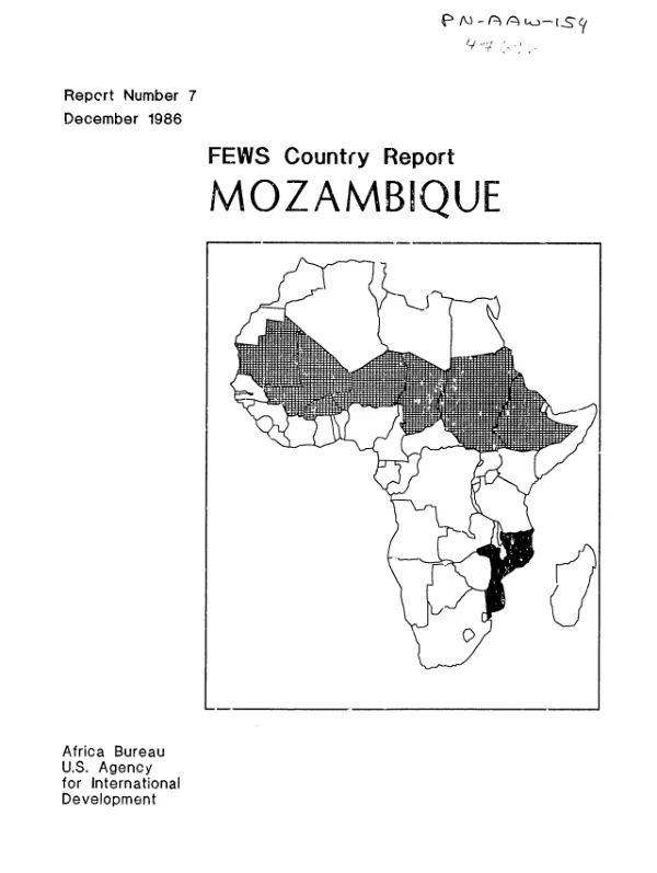 Mozambique : a review of at-risk populations