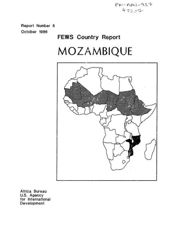 Mozambique : from bad to worse