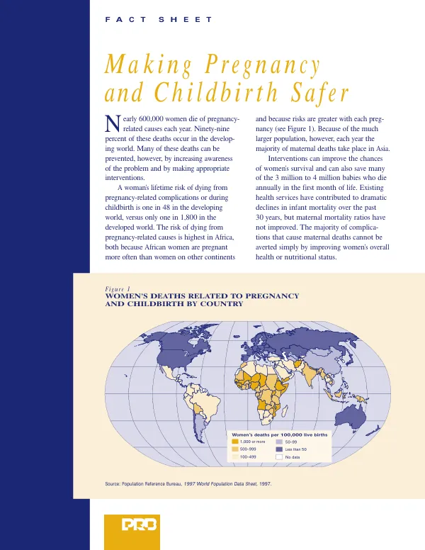 Making pregnancy and childbirth safer : fact sheet
