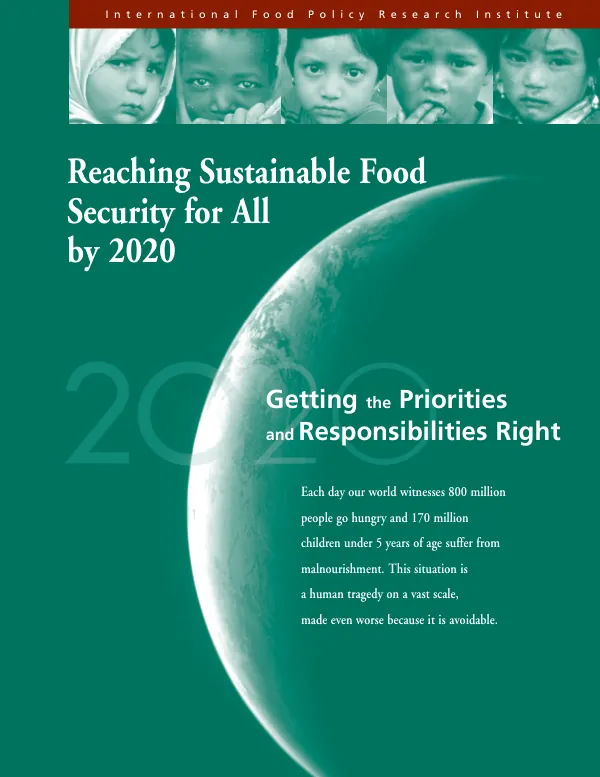 Reaching sustainable food security for all by 2020 : getting the priorities and responsibilities right