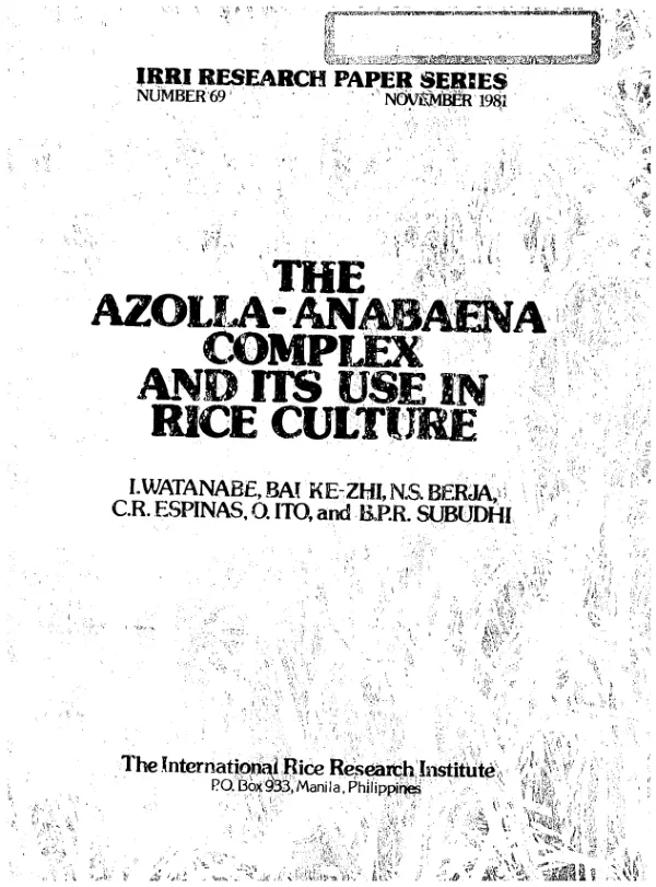 Azolla - anabaena complex and its use in rice culture