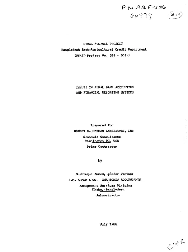 Issues in rural bank accounting and financial reporting systems