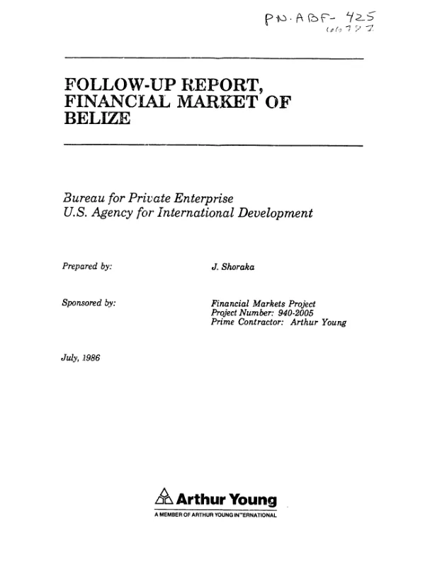 Follow-up report, financial market of Belize
