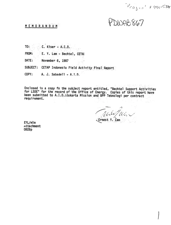 Final report : Bechtel support activities for LSDE