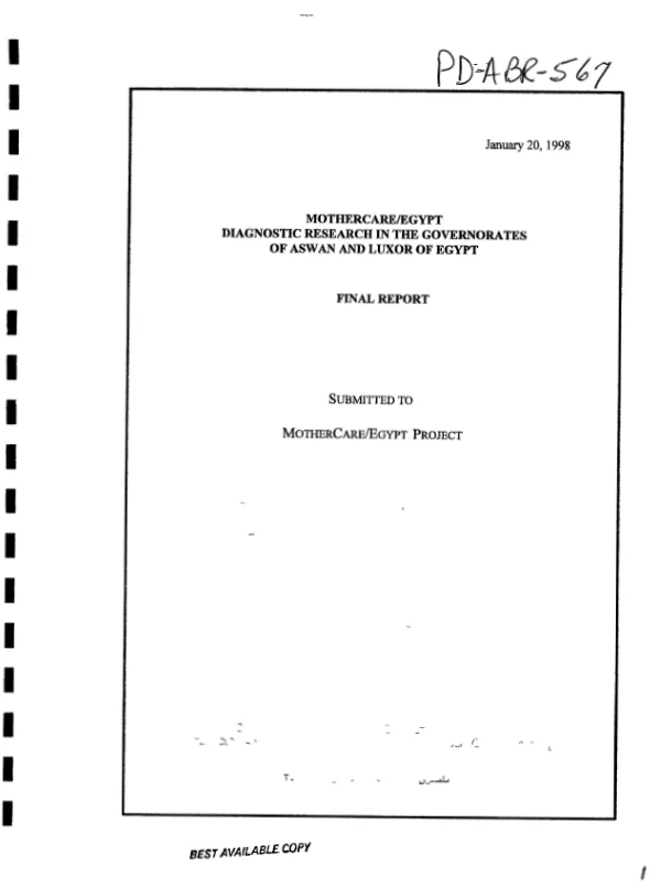 Mothercare/Egypt diagnostic research in the governorates of Aswan and Luxor of Egypt : final report