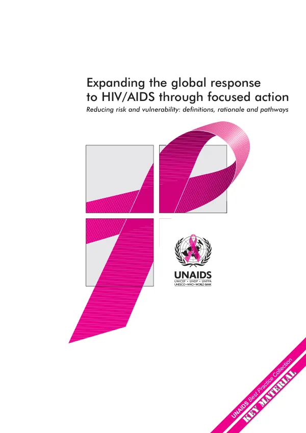 Expanding the global response to HIV/AIDS through focused action : reducing risk and vulnerability -- definitions, rationale and pathways