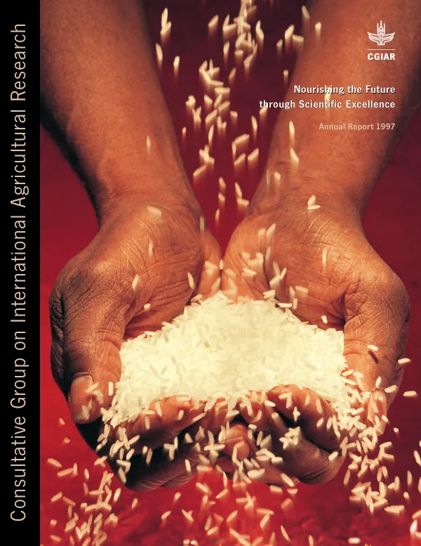 Briefing charts on the Korean agricultural sector simulation project