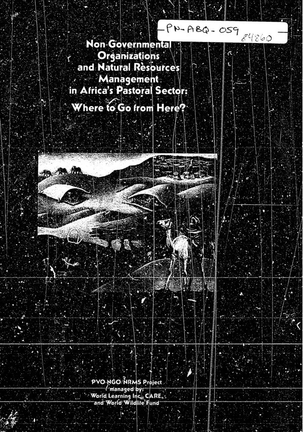 Non-governmental organizations and natural resources management in Africa"s pastoral sector : where to go from here? -- a synthesis document