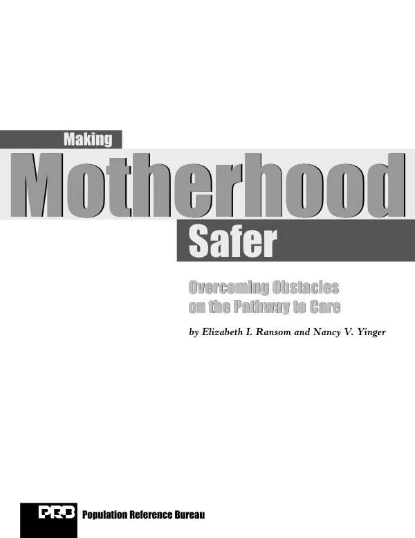 Making motherhood safer : overcoming obstacles on the pathway to care