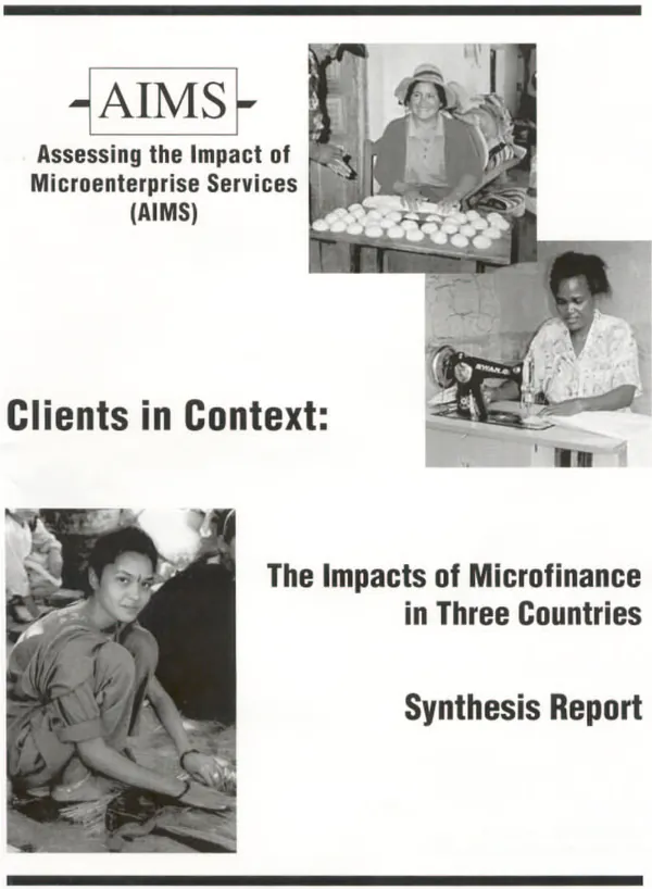 Clients in context : the impacts of microfinance in three countries : synthesis report