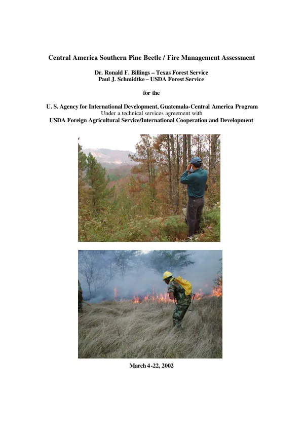 Central America southern pine beetle/fire management assessment