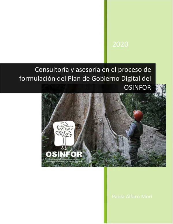 Servicio de Consultoria y Asesoria en el Proceso de Formulación del Plan de Gobierno Digital
