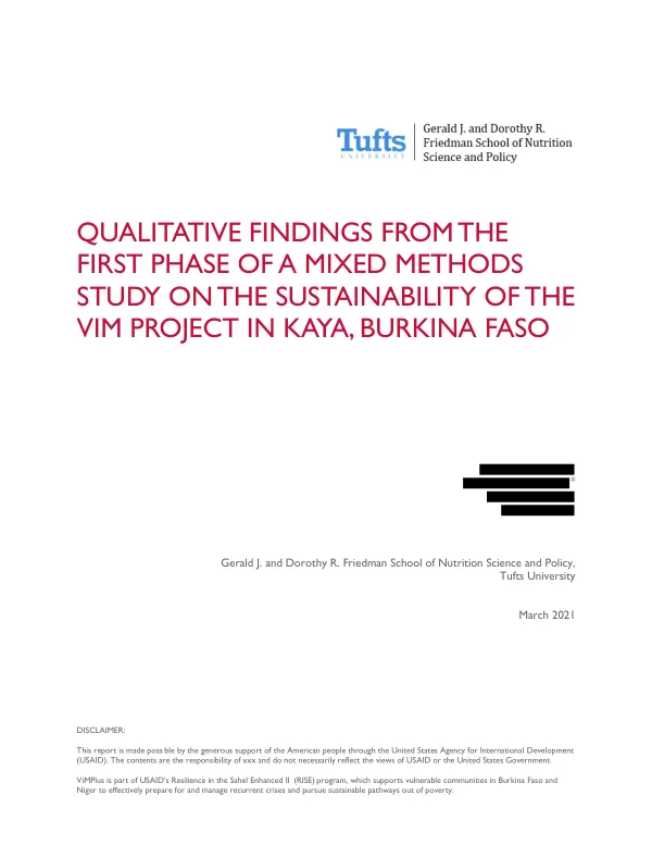 Qualitative Findings From the First Phase of a Mixed Methods Study on the Sustainability of the ViM Project in Kaya, Burkina Faso