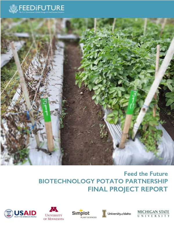 Feed the Future Biotechnology Potato Partnership Final Project Report