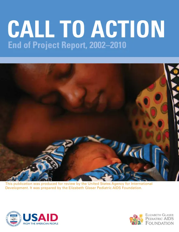 Call to action : end of project report, 2002-2010