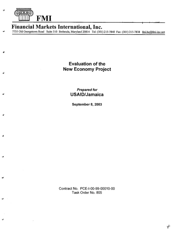 Evaluation of the new economy project