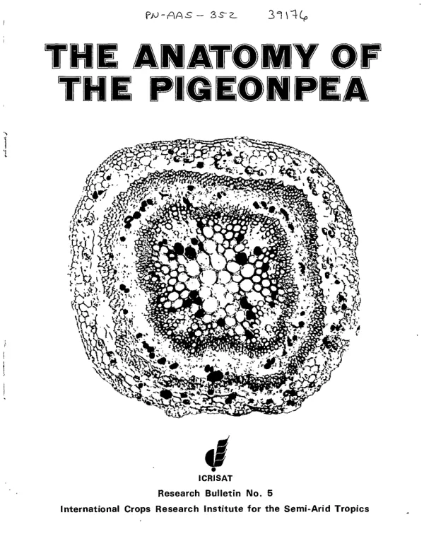 Anatomy of the pigeonpea