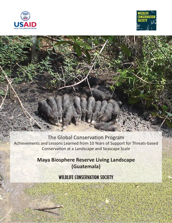 Assessment of the potential for Peace Corps-USAID -host country cooperation in social forestry projects : Kenya
