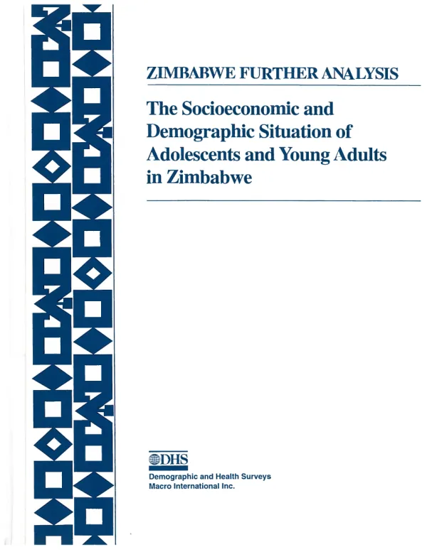 The socioeconomic and demographic situation of adolescents and young adults in Zimbabwe