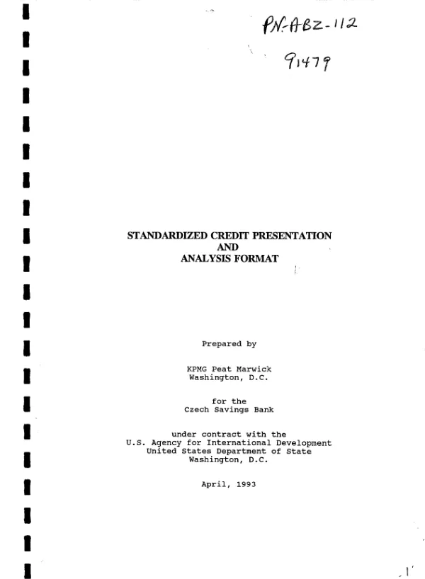 Standardized credit presentation and analysis format = Standartizovane uverove osnovy pro analyzu a prezentacni format