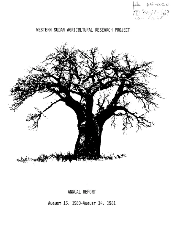 Audit of Thunder and Associates, Inc. : federal contracts -- January 1, 1990 to December 31, 1991