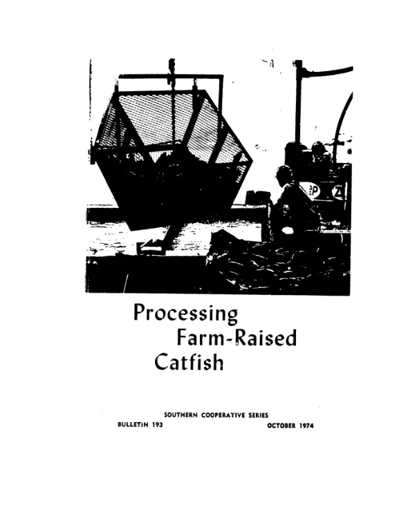 Processing farm - raised catfish