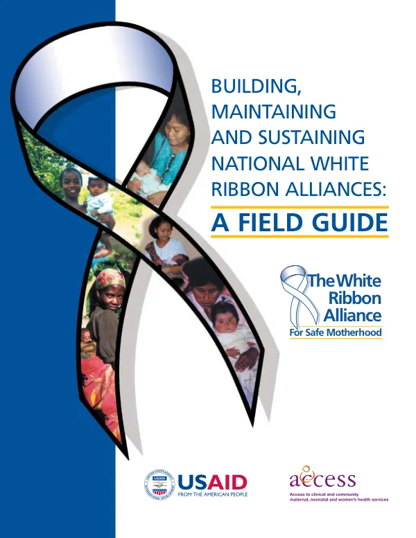 Building, maintaining and sustaining national white ribbon alliances : a field guide