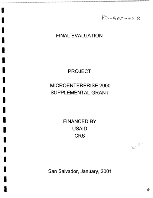 Final evaluation : project microenterprise 2000 supplemental grant