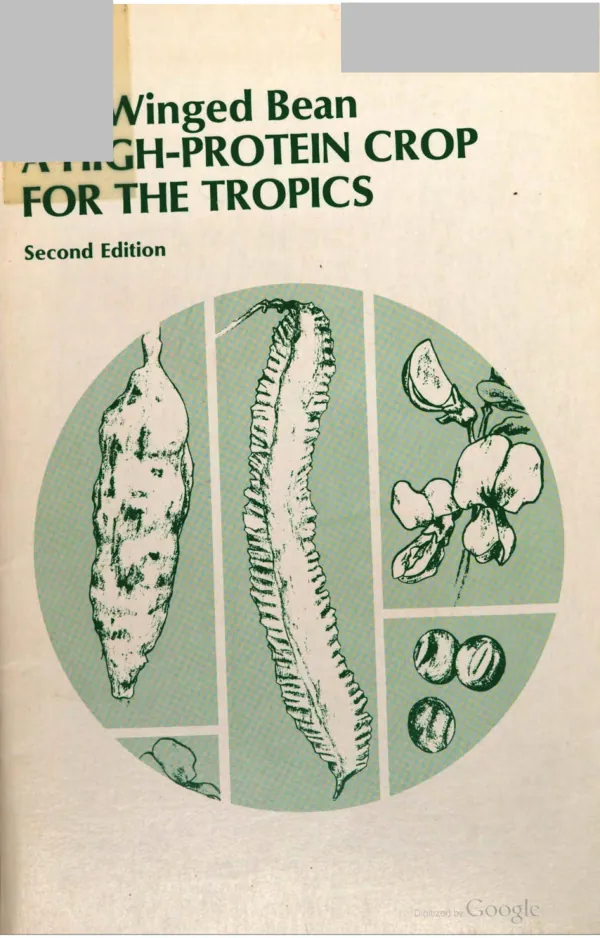 The winged bean : a high protein crop for the tropics