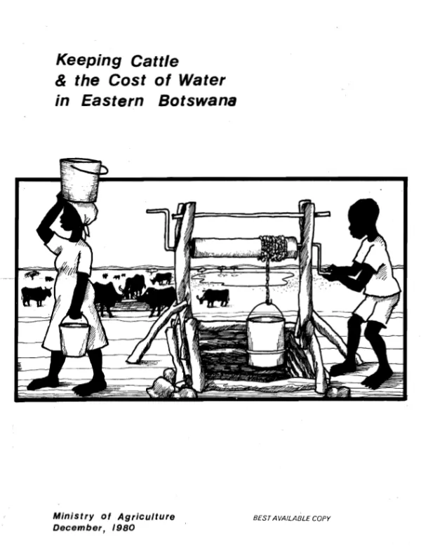 Keeping cattle and the cost of water in Eastern Botswana