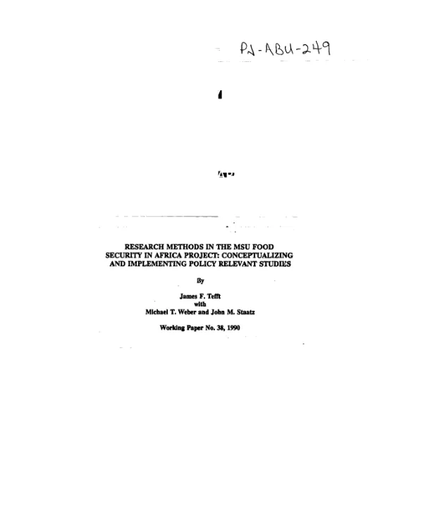 Research methods in the MSU food security in Africa project : conceptualizing and implementing policy relevant studies