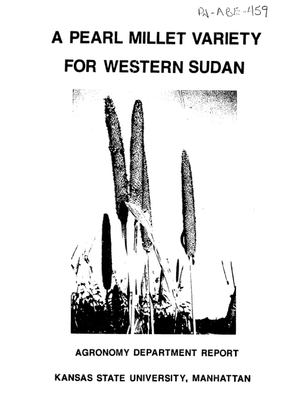 Pearl millet variety for western Sudan