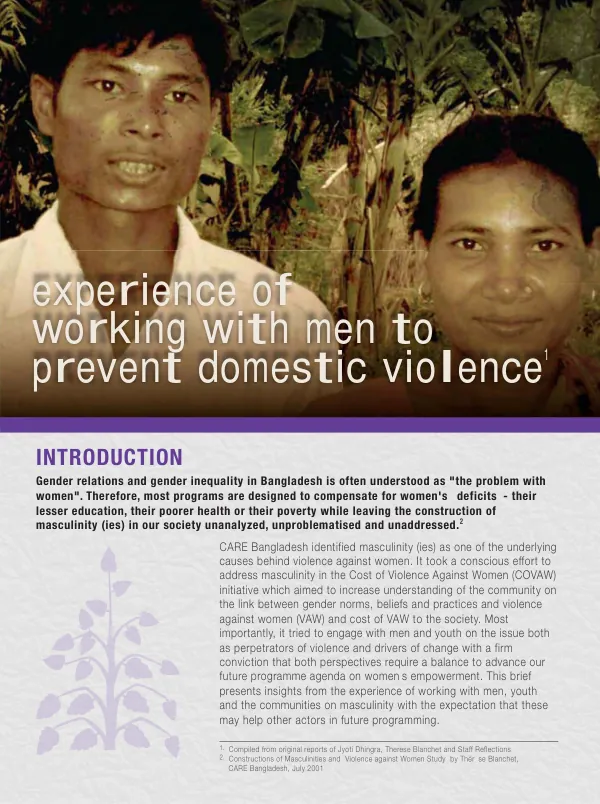 Experience of working with men to prevent domestic violence