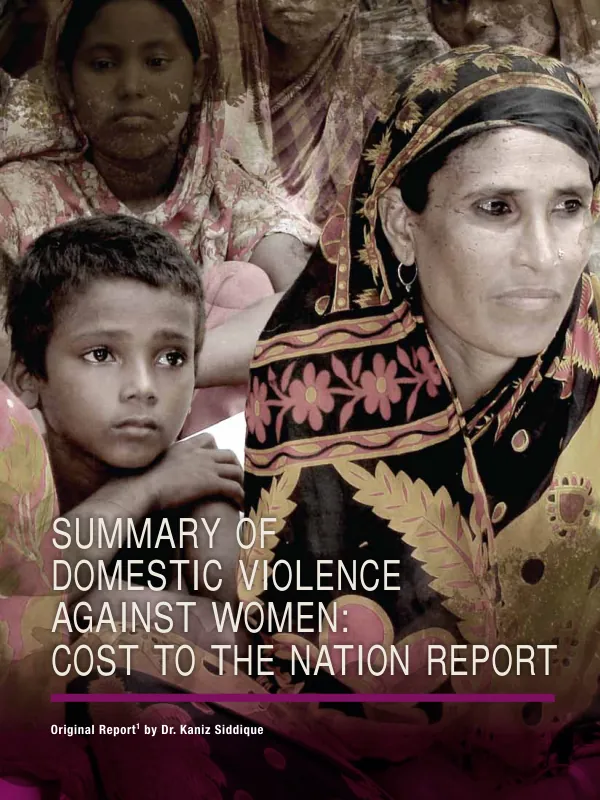 Summary of domestice violence against women : cost to the nation report