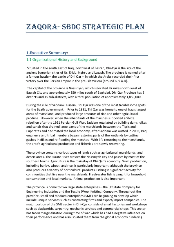 Al-Zaqora Strategic Plan