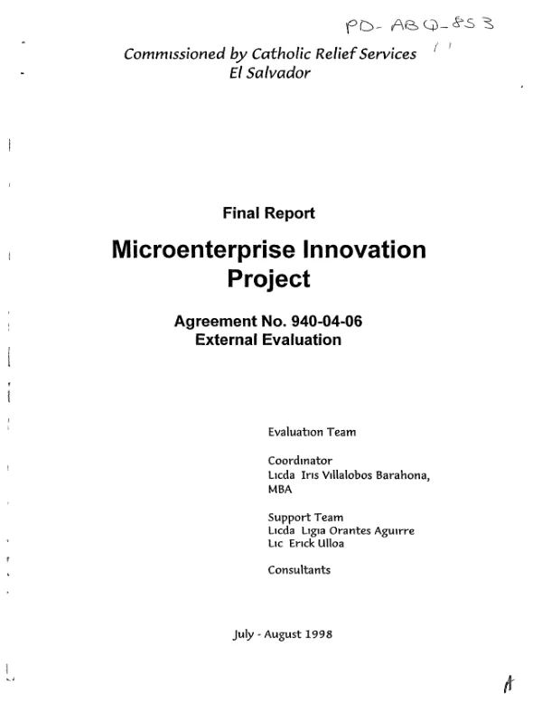 Final report : microenterprise innovation project : agreement no. 940-04-06 -- external evaluation