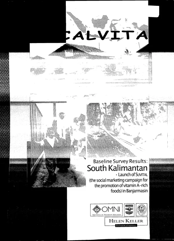 Localvita (improvement of maternal and child survival through promotion of vitamin A-rich foods in South Kalimantan and South Sulawesi[, Indonesia]) : baseline survey results -- South Kalimantan : launch of SUVITAL (the social marketing campaign for the promotion of vitamin A-rich foods) in Banjarmasin