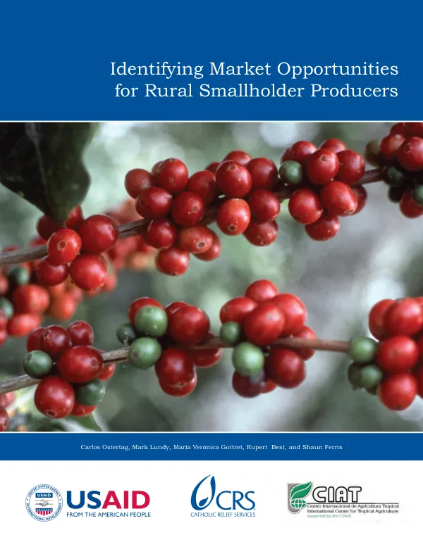 Identifying market opportunities for rural smallholder producers