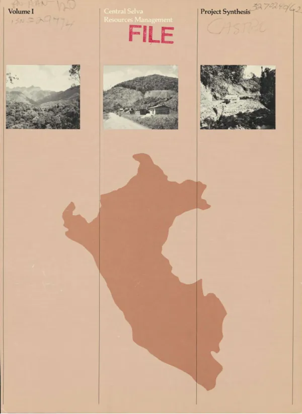 Central Selva natural resources management project, vol. I : project synthesis paper