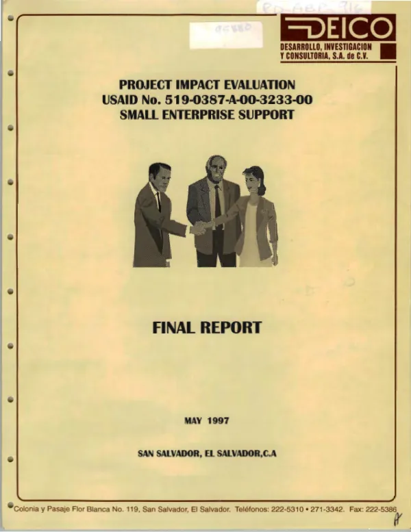 Project impact evaluation : USAID no. 519-0387-A-00-3233-00 -- small enterprise support : final report