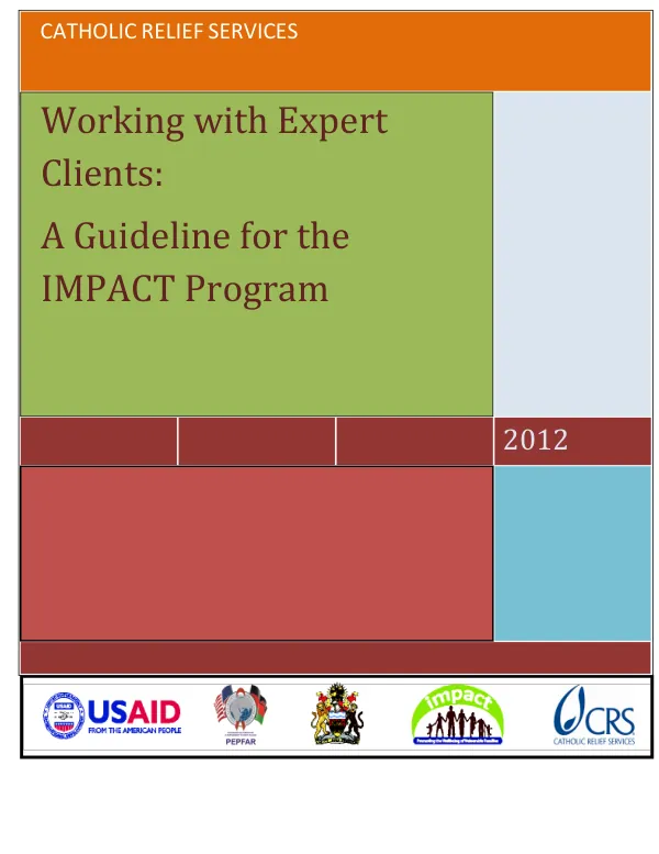 Working with Expert Clients: A Guideline for the IMPACT Program