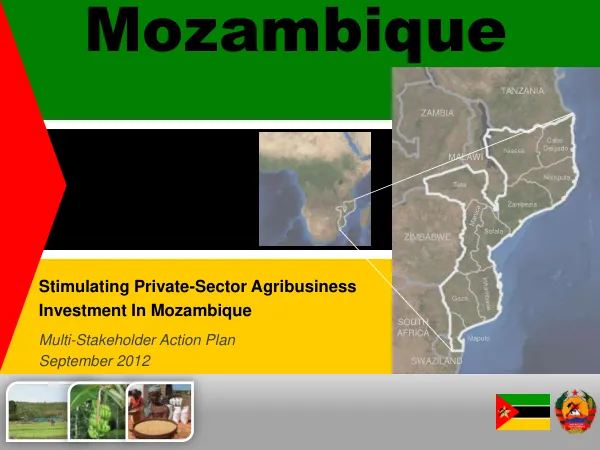 Mozambique Multi-Stakeholder Action Plan