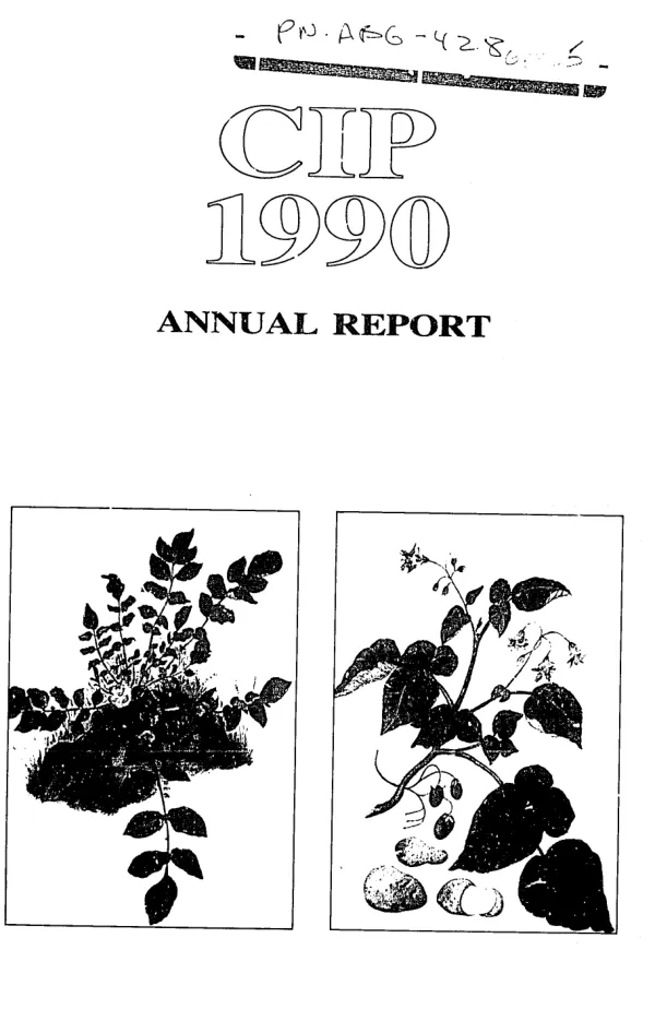 International Potato Center annual report 1990 : worldwide potato and sweet potato improvement