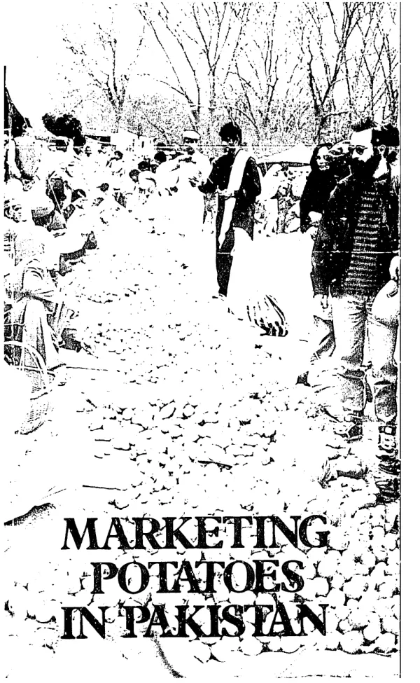 Marketing potatoes in Pakistan