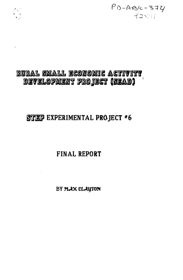 Rural small economic activity development project (SEAD) : STEP [Swaziland training for entrepreneurs project] experimental project no. 6 -- final report
