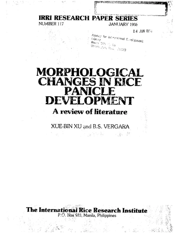 Morphological changes in rice panicle development : a review of literature