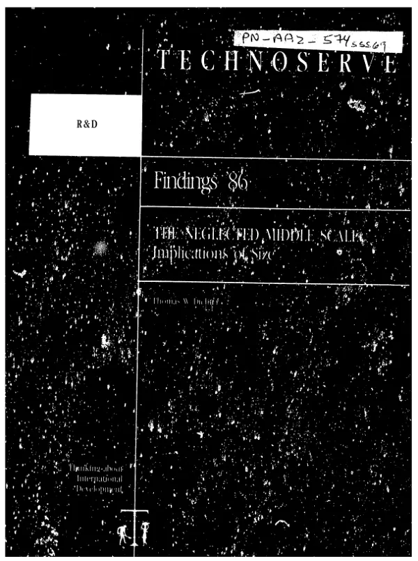 Neglected middle scale : implications of size