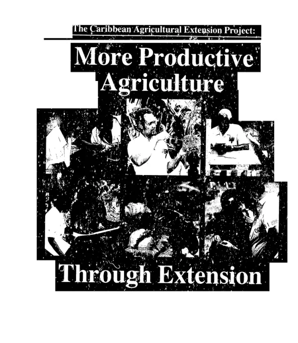 Caribbean agricultural extension project : more productive agriculture through extension