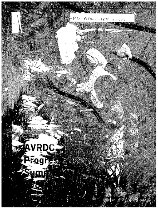 AVRDC progress report summaries, 1985