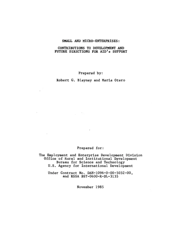 Small and micro-enterprises : contributions to development and future directions for AID"s support